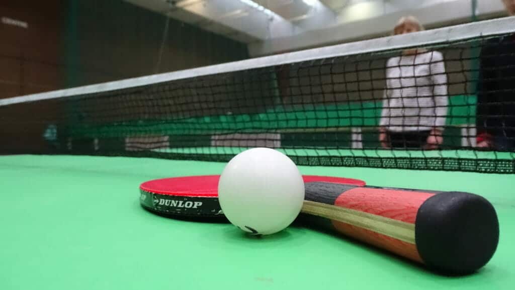 Get Active OWLS Table Tennis
